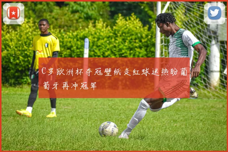 C罗欧洲杯夺冠壁纸走红球迷热盼葡萄牙再冲冠军