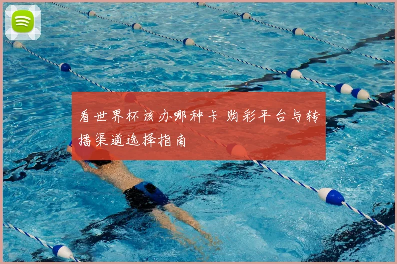 看世界杯该办哪种卡 购彩平台与转播渠道选择指南