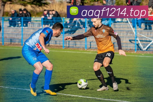 世界杯官方网服务体系